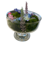 Load image into Gallery viewer, Celestial Garden Lapis Lazuli Terrarium