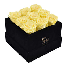 Load image into Gallery viewer, Black Velvet Yellow Rose
