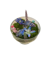 Load image into Gallery viewer, Celestial Garden Lapis Lazuli Terrarium