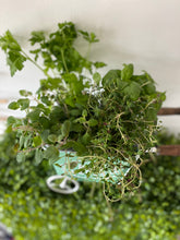 Load image into Gallery viewer, Fresh Herbs Cart Planter - Perfect Gift for Any Occasion