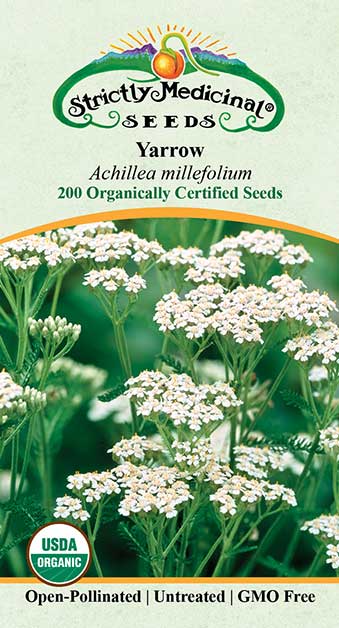 Yarrow (Achillea millefolium) Seed Packet