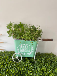 Fresh Herbs Cart Planter - Perfect Gift for Any Occasion