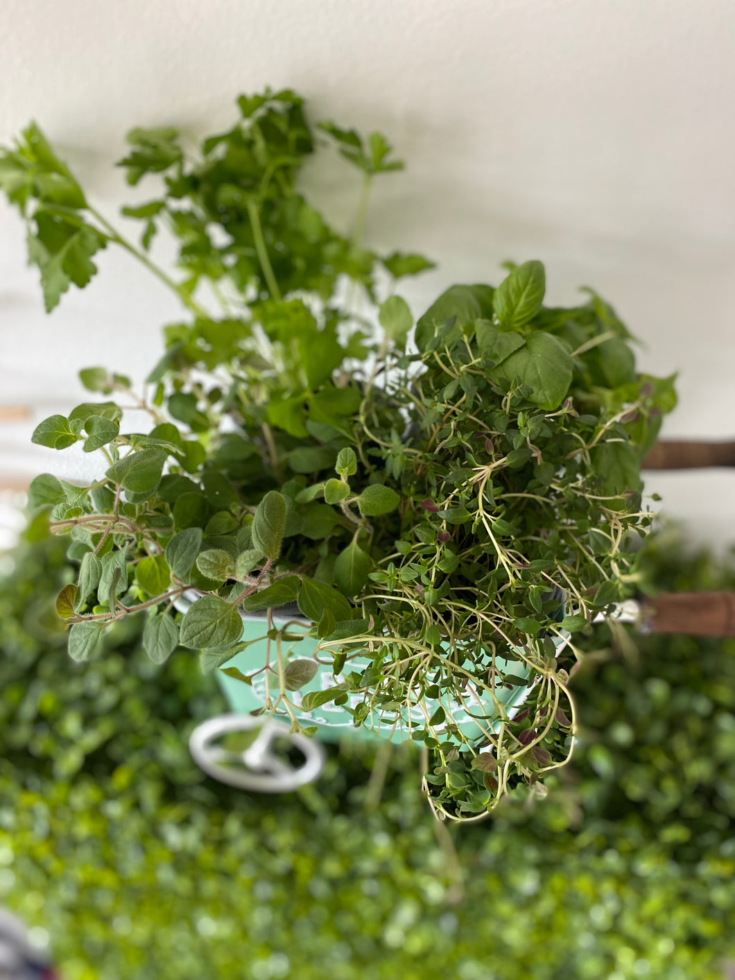 Fresh Herbs Cart Planter - Perfect Gift for Any Occasion